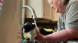 Rocky’s First Bath