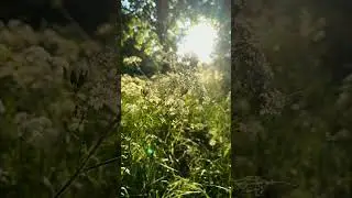 А мы хотим Победы скорой!