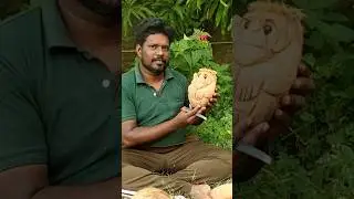 How to make a monkey from coconut handicrafts | home decore