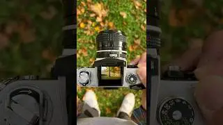 Relaxing photography with a 35mm camera. Nikon F2