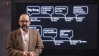 Sociedade, Tecnologia e Inovação - Aula 1 - Criatividade e evolução