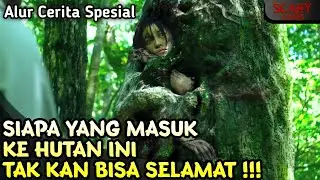 HUTAN TERKUTUK, SIAPA YANG MASUK TAK KAN BISA KELUAR‼️