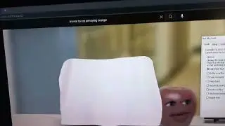 Grapefruit Crying has BSOD