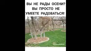 my grandmother send me this video on whatsapp #funny #memes