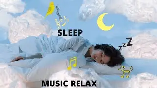 Meditar, Relaxar e Dormir, com música instrumental e Sons da Natureza. Meditation, sleep and relax