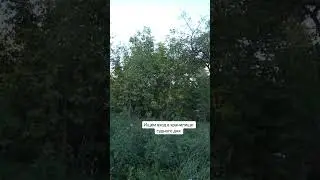 Ищем вход в хранилище судного дня #денсталк #abandoned
