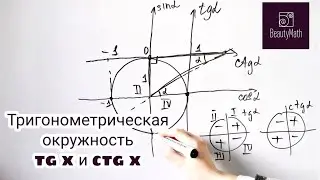 Тригонометрическая окружность tg x и ctg x