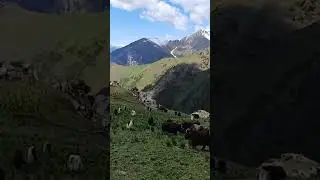 4 июня 2024 г.