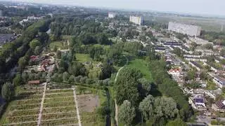 mijn streek de Zaanstreek (1)