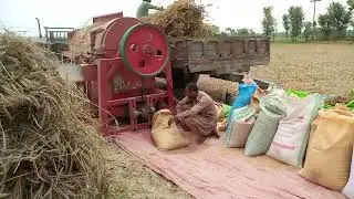 Wheat Thresher Macheen |Wheat Harvesting Thresher Macheen |Wheat Thresher Macheen warking ||