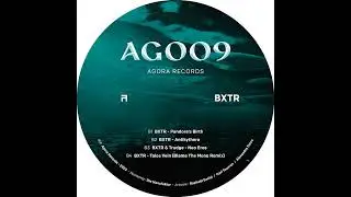BXTR  -  Voices From The Sun