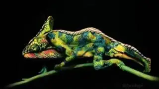 Мастера
