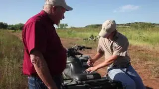 Quail CSI