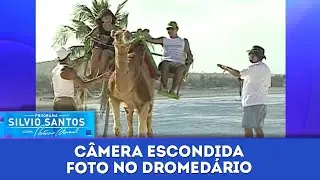 Foto no Dromedário | Câmeras Escondidas (20/10/23)
