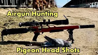 DIY Tracer Pellets vs. Pigeons: Insane Airgun Headshots