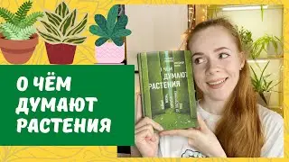 О ЧЁМ ДУМАЮТ РАСТЕНИЯ. ОБЗОР КНИГИ.