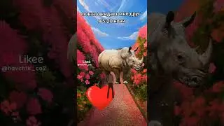 что
