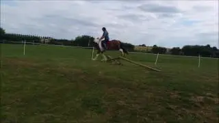 Jiggy jumping
