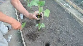 DSCN3657