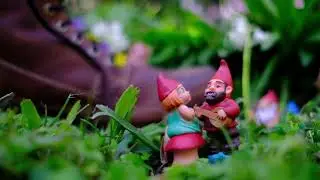 Gnome Soup (Intro)