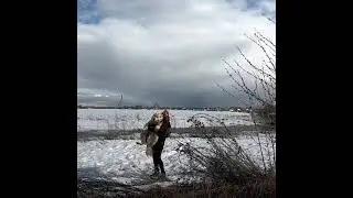 Алекс
