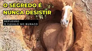 REFLECTION 👑THE SECRET IS NEVER GIVING UP 🐎THE HORSE IN THE HOLE