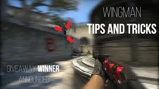 Wingman Tips and Tricks and Giveaway Winner!