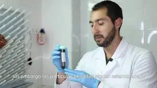 Propagación de Micorrizas en laboratorio