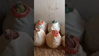 batair ki naw kamal awaz
