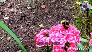 Парк градина Краси