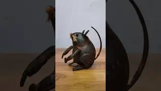 🐁How To Make A Rat Out Of A Coconut Shell | Craft With Coconut #craft #diy #ideas #coconutshellcraft