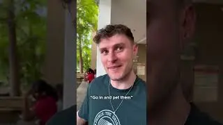 Doing Things Our Followers Are Afraid To Do! (Fear Of Alligators)