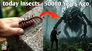 7 extinct animals  50 years ago extinct animals worse then dinosaur