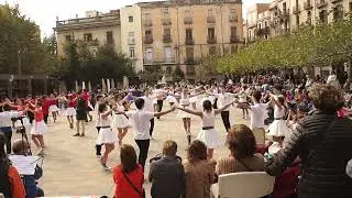 Sardana "Companys de Viatge (Raul Lacilla)", colla Nova Tarragona Dansa
