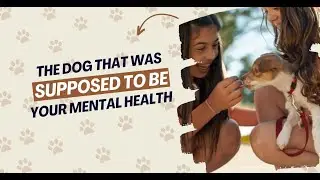 The Dog That Was Supposed To Be Your Mental Health