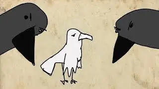 piktos varnos | animacija