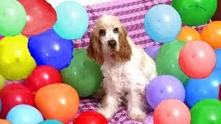 SCHERZO A VERA!: 1000 PALLONCINI!! (Vera-Episodio 1)