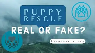 Dog rescue exposed