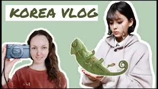 У Софии умер хамелеон, а я купила камеру. Радость и горе в одном влоге.