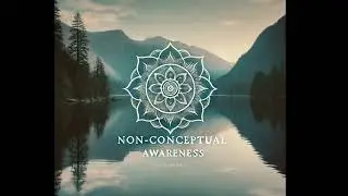 Understanding Non-Conceptual Awareness: John Wheeler