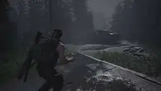 The last of us 12 (PS5)