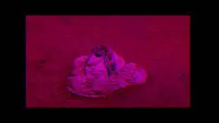 3D anaglyph Video-2