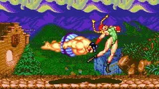 Super Street Fighter II ~The New Challengers~ (1994) SEGA Mega Drive / Genesis