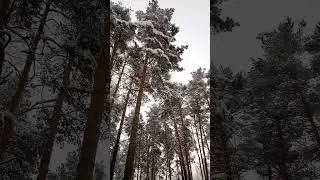 Краснокамск, парк