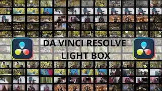 Find Any Clip Just 2 Second Da vinci Resolve 18  Light Box Explained