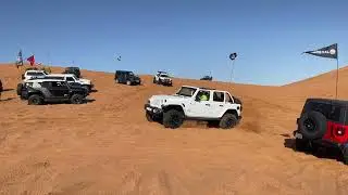 Сафари Дубай