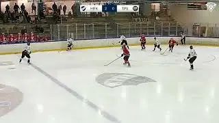 Emil Hemming   Scouting Report