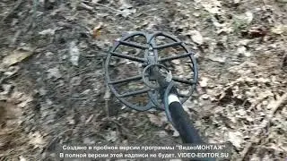 Металоискатель Фортуна М3 перший коп!!!