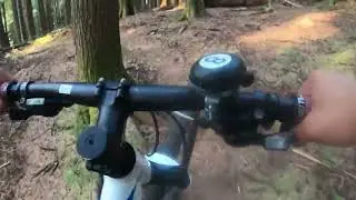 mtb biking forest 10 17 22