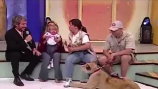 Viral video shows horrified baby screaming as lion tries to eat her on live TV